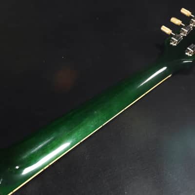 Gibson Custom Shop Made 2 Measure 1959 Les Paul Standard Reissue, Ultra Light Aged Iguana Burst 019 image 7