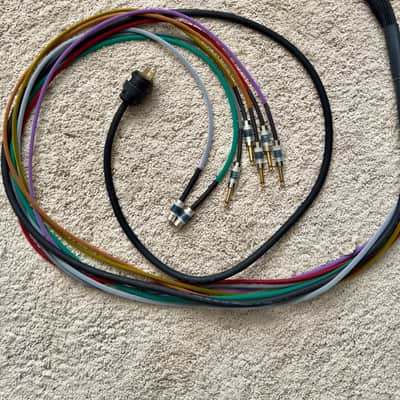 Omilion Audio Cable Loom w/ instrument, MIDI, and Power image 3