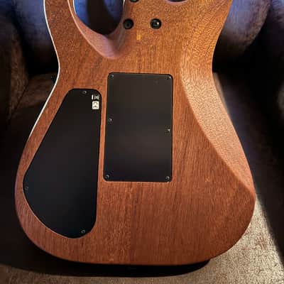 Jackson Dinky DKRA 2022 - Open-Pore Ash image 9