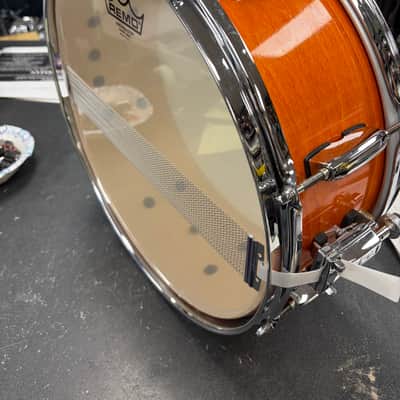Pearl Export 5 1/2x14 snare drum 2023 - honey amber image 4