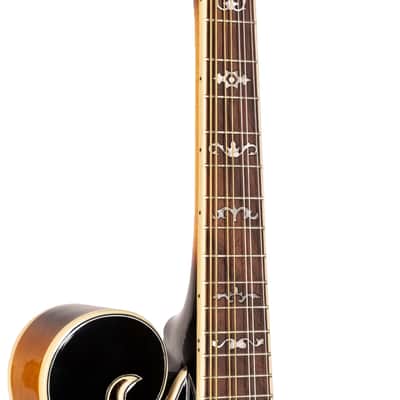 Gold Tone Sunburst F-Style Mandolin w/ Hard Case image 5