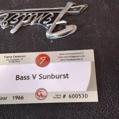 Fender bass V 1966 Jan - sunburst image 3
