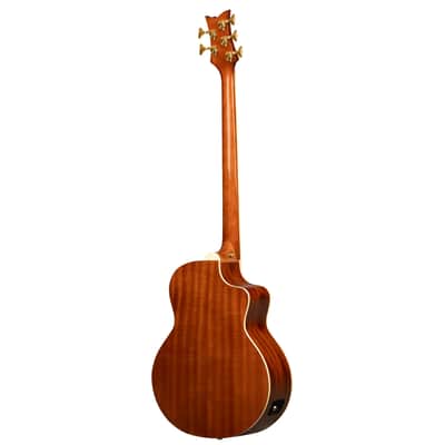 Ortega D8CE-5-L Deep Series 8 Spruce Top Medium Scale 5-String Acoustic-Electric Bass Guitar For Left Hand Player image 2