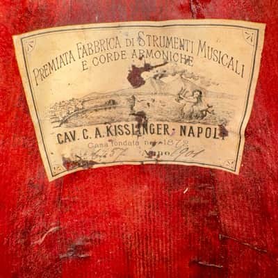 C.A. Kisslinger Decorated Curved-Ribs Mandolin, 1901 image 16
