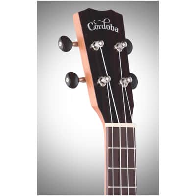Cordoba 25C Concert Ukulele image 8