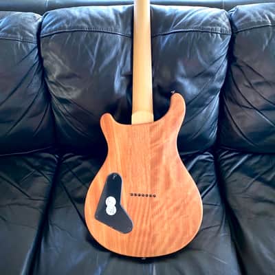 PRS SE Mark Holcomb SVN 7-String | Tusq Nut Upgrade | Pro Setup | Excellent Condition image 3
