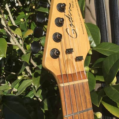 Godin Exit 22 S USA / Canada Mahogany Electric Guitar W/Bag image 2