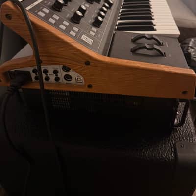 Immagine Moog Subsequent 25 - 3