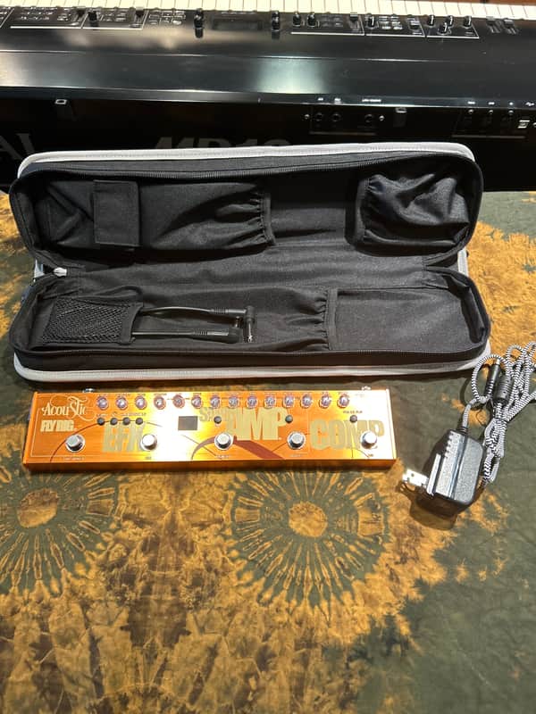 Tech 21 Acoustic Fly Rig