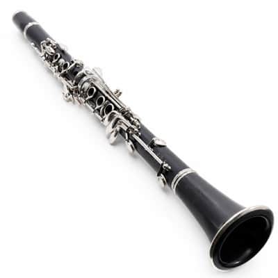 Buffet Crampon R13 Professional Bb Clarinet in Grenadilla SN 542908 image 18