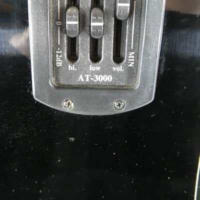 Washburn D100 CEB Blk w/HSC image 8