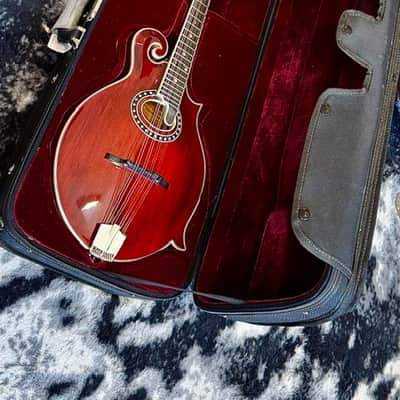 Eastman MD814 2024 - Cherry Gloss image 8