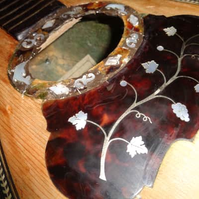 E. Zerega Bowlback Mandolin Brazilian 1900 image 10