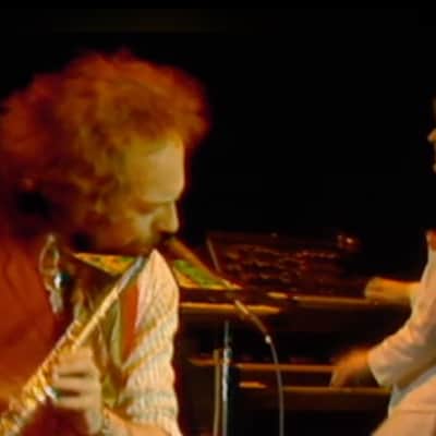 Jethro Tull's Moog Minimoog Model D (owned by David Palmer) image 21