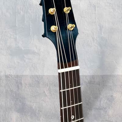 Iris DE-11 2024 - Black Relic Finish. NEW, (Authorized Dealer) image 5