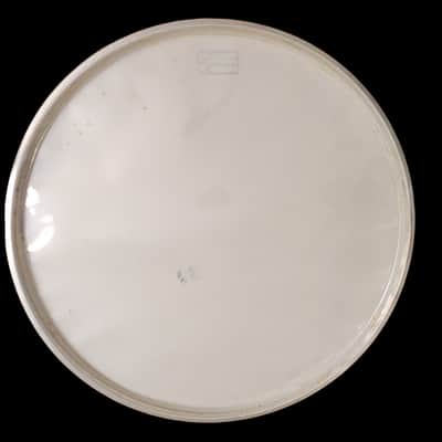Vintage 1960's Slingerland 20" Coated Heavy Duty (Rare) 2-ply Batter Head USA image 3