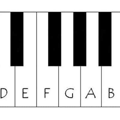ROLAND Replacement Key for Juno-106 Juno-6 Juno-60 JX-3P Jupiter 6/8 Alpha Juno-1 D10 D20 HS60 image 3