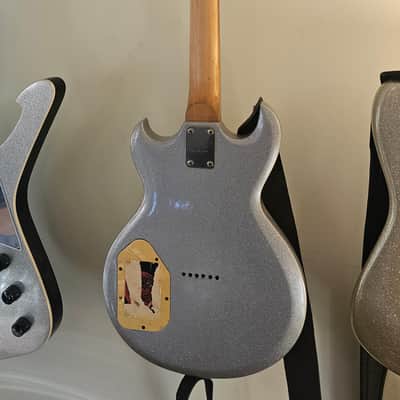 Aria Pro II Cardinal series mij- Sparkle silver image 4
