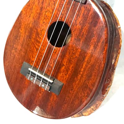 Turtle Shell Tenor Ukulele image 5