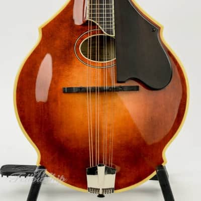 Eastman David Grisman DGM2 Mandolin image 4