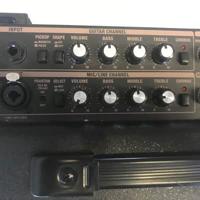 Roland Acoustic Chorus AC-60 Amp with Padded Carrying Case. Sale Benefits Music Education Nonprofit! image 7