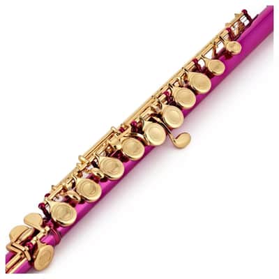 Elkhart Vincent Bach Pink Flute Pack | Split E Mechanism Offset G ~ image 2