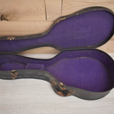 Regal Mandolin 1920s - Natural image 12