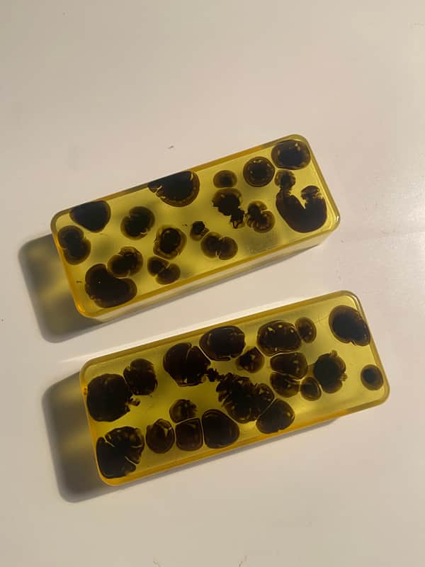 Tortoise P90 pickup cover Set #1 image 1