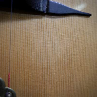 Christelle Caillot Petite Bouche Gypsy Jazz #46 2016 - Natural image 17