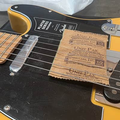 Fender Player Telecaster FSR Limited Special Edition Ash Body Butterscotch Blonde Roasted Maple Neck BRAND NEW Tele Electric Guitar image 7