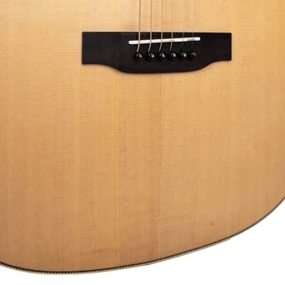 Gold Tone Festival Series GT-Dread: Acoustic/Electric All Solid Wood with Bag image 4