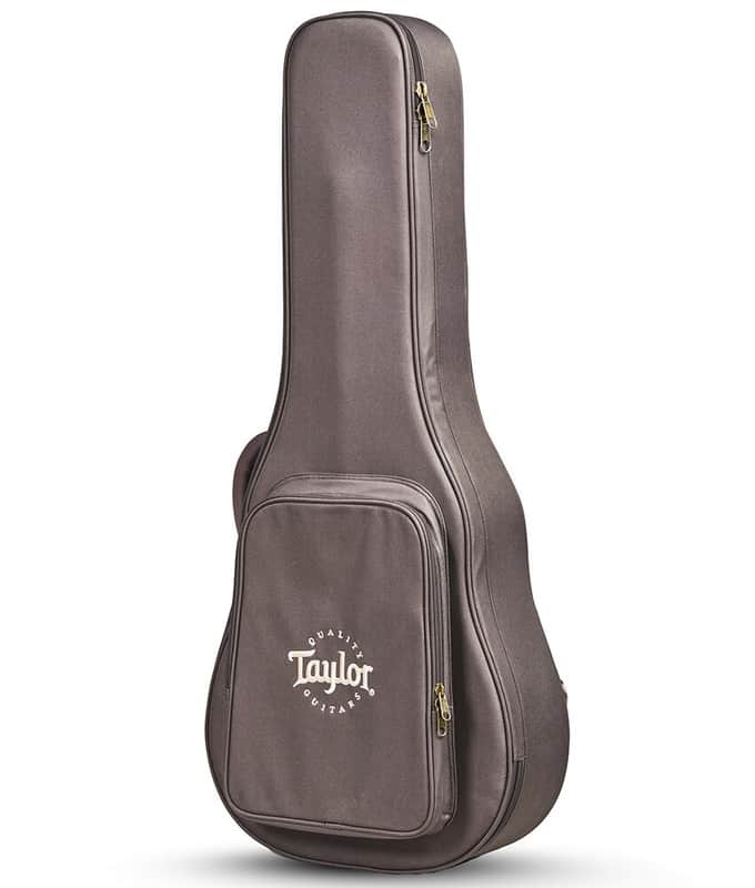 Taylor Super Aero GS Mini Case | Reverb