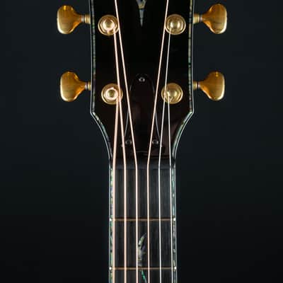 Taylor PS14ce Presentation Series Honduran Rosewood and Adirondack Spruce with Pickup Used (2025) image 12