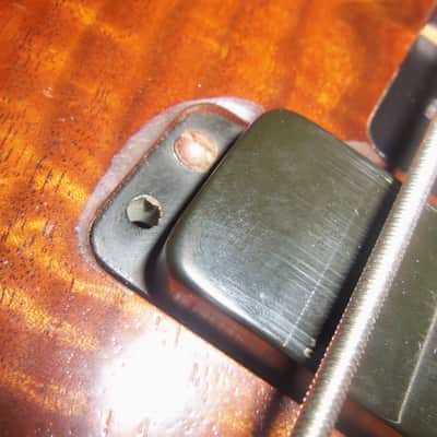 Alembic Epic 5 String Bass 1994 Natural image 4