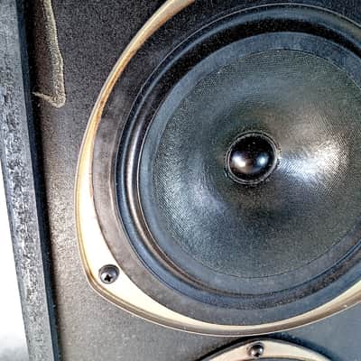 KEF 304 – SP 117 diffusori / Year 1980 image 9