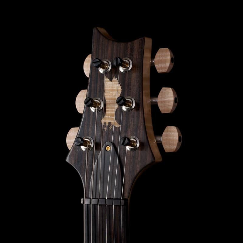 PRS Custom 24 Semi-Hollow Private Stock image 4