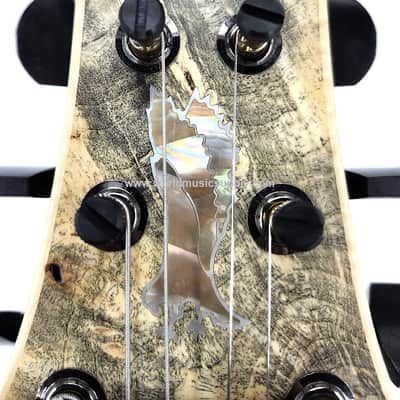 PRS Paul Reed Smith PRS-Private Stock-11904 McCarty Classic Serial# 0406448 image 3