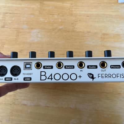 Ferrofish B4000+ Modelling Organ Expander Module image 6