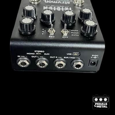 Strymon Iridium-x15743 image 3