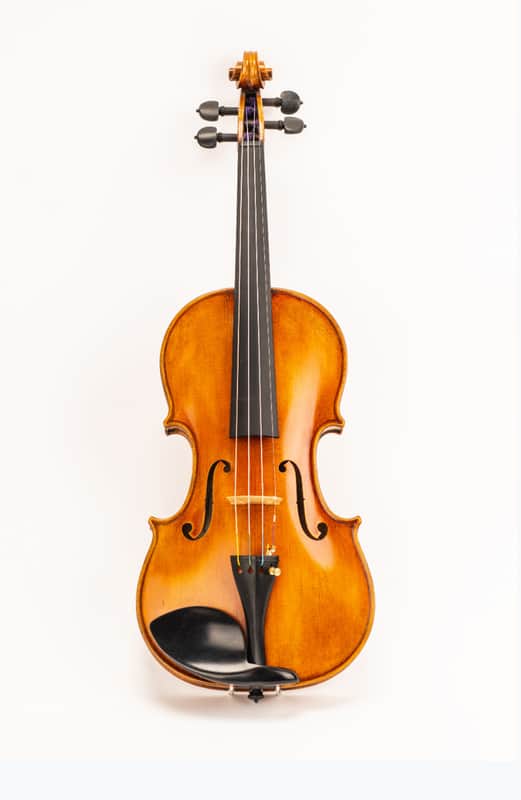 D Z Strad  Maestro Old spruce Stradi 4/4 Full Size Violin Model 509  One Piece Back image 1