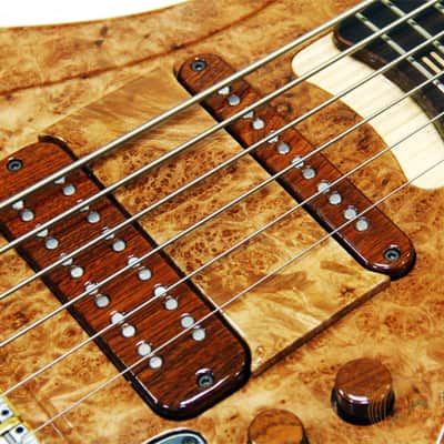 zakrzewski basses Essential 6st image 3