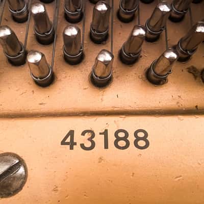 Chas M. Stieff Baltimore Grand Piano 5'4" Mahogany Unique image 10