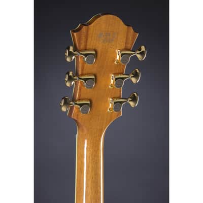 Ibanez PM200 Pat Metheny Signature NT Natural - Semi Acoustic Custom Guitar image 5