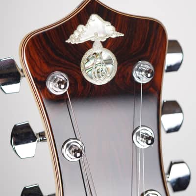Alembic Darling Cocobolo Guitar image 9