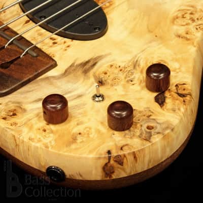 Stradi Symphony 4 Fretless - Earth - image 5