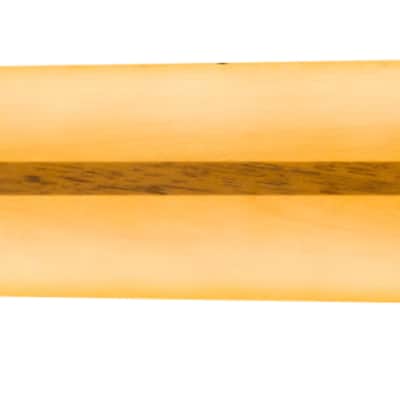 Fender American Professional Classic Telecaster¬Æ Neck 22 Medium Jumbo Frets 9.5" Radius image 3