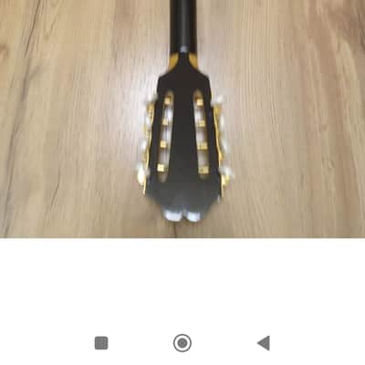 Greek Bouzouki & hardcase & pickup & 300 backing track with pdf scores 8 string image 11