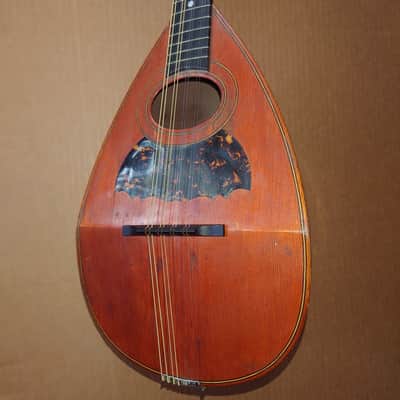 Rare Schwarzer Model 120 "Echo" bowl back mandolin Circa 1900 image 4