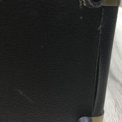 Peavey Ecoustic e20 image 12