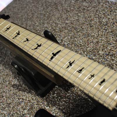 PRS Dustie Waring Signature CE 24 Floyd - Waring Burst image 8